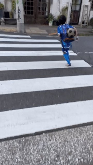 1670318462756013266.gif e1a9fad6c97de6ba2f482ad1227714f6.gif